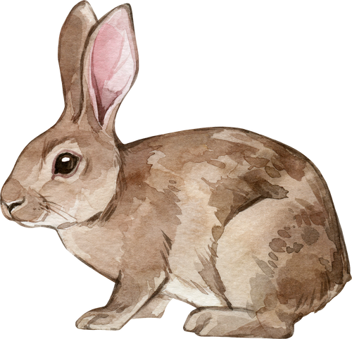 an illustration of a rabbit sitting on a white background