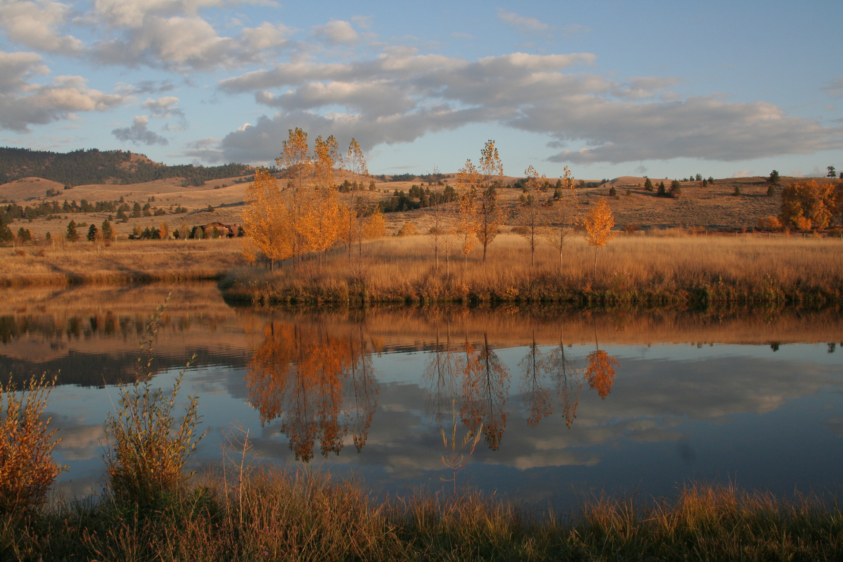 a lake in the middle of a field with a mountain in the background